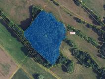 Dražba lesa, Žďárec, 1995 m2