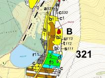 Dražba lesa, Cetoraz, 17171 m2