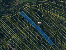 Dražba lesa, Dolní Vilémovice, 1957 m2