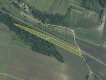 Prodej sadu/vinice, Novosedly, 6655 m2