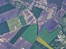 Prodej podílu pole, Šitbořice, 500 m2