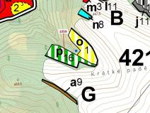 Dražba lesa, Náměšť nad Oslavou, 3646 m2