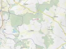 Dražba lesa, Žirovnice, 2931 m2