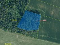 Dražba lesa, Hradiště, 3718 m2