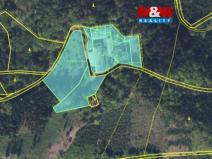 Prodej ubytování, Nové Město nad Metují, Rezek, 1700 m2