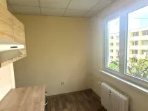 Pronájem bytu 2+1, Bílina, M. Švabinského, 55 m2