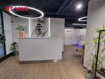 Pronájem obchodního prostoru, Praha - Karlín, Sokolovská, 165 m2