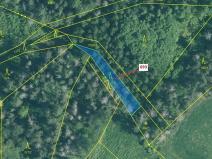 Dražba lesa, Kuřimany, 398 m2