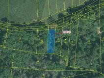 Dražba lesa, Milavče, 441 m2