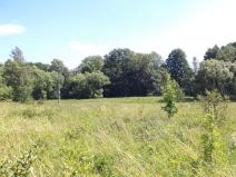 Dražba louky, Meziměstí, 28977 m2