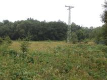 Dražba louky, Meziměstí, 28977 m2