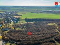 Prodej pozemku, Nepřevázka, 4672 m2