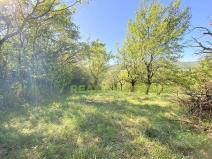 Pronájem louky, Podolí, 938 m2