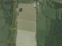 Dražba louky, Dešenice, 67850 m2