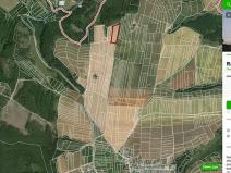 Prodej pole, Radošovice, 6988 m2