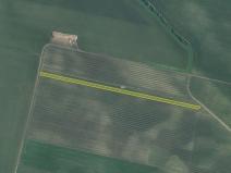 Prodej sadu/vinice, Terezín, 5465 m2