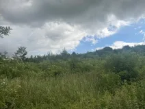 Prodej lesa, Brtnice, 14739 m2