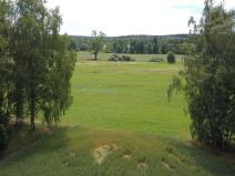 Prodej pole, Sobíňov, 7578 m2