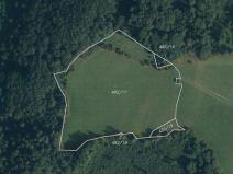 Prodej pole, Hanušovice - Hynčice nad Moravou, 53256 m2