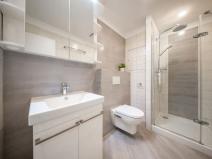 Pronájem bytu 1+kk, Brno, Kopečná, 36 m2