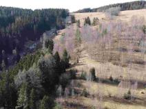 Prodej pole, Kraslice, 3869 m2