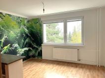 Pronájem bytu 2+kk, Liberec - Liberec VI-Rochlice, Seifertova, 42 m2