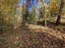 Prodej pole, Železný Brod, 12622 m2