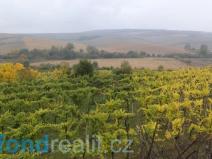 Prodej pozemku, Morkůvky, 4541 m2