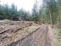 Prodej pole, Příkrý, 13129 m2