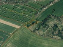 Prodej pozemku, Nová Ves u Mladé Vožice, 5421 m2