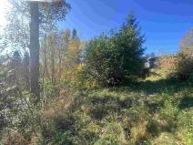 Prodej pozemku, Lučany nad Nisou - Jindřichov, 179 m2