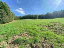 Prodej pozemku, Sobotín, 10593 m2