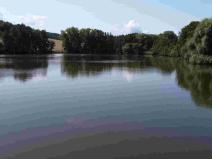 Prodej pozemku, Chocomyšl, 59407 m2