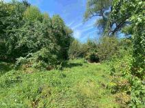 Prodej pozemku, Horní Stropnice - Bedřichov, 2842 m2