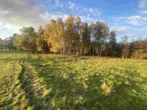 Prodej pole, Cvikov - Trávník, 16894 m2