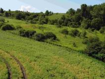 Prodej pole, Bučovice, 3134 m2