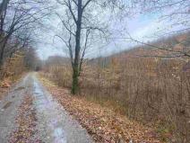 Prodej pole, Ždánice, 3207 m2