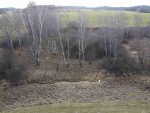 Prodej pozemku, Dolní Dvořiště - Trojany, 18915 m2