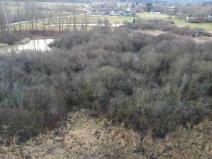 Prodej pozemku, Nové Hrady - Štiptoň, 35772 m2