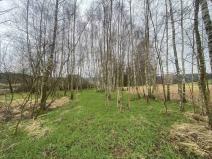 Prodej pozemku, Hosín - Dobřejovice, 10244 m2