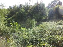 Prodej pole, Malé Březno, 14517 m2