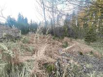 Prodej pozemku, Kočov, 5268 m2