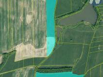 Prodej podílu louky, Němčice, 182831 m2