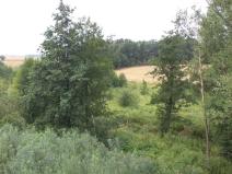 Dražba louky, Bohuslavice, 8942 m2