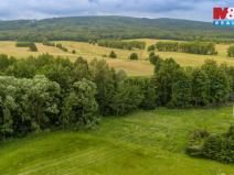 Prodej louky, Dětřichov, 4178 m2