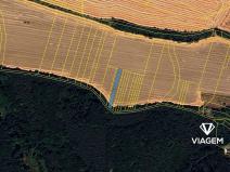 Prodej pole, Slatinky, 809 m2