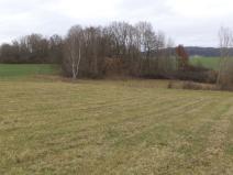 Prodej pole, Srby, 19946 m2