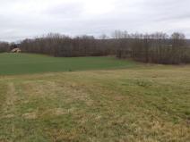 Prodej pole, Srby, 19946 m2