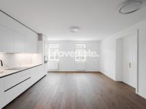 Pronájem bytu 3+kk, Praha - Vinohrady, Třebízského, 120 m2