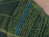 Dražba lesa, Hradčany-Kobeřice, 6360 m2